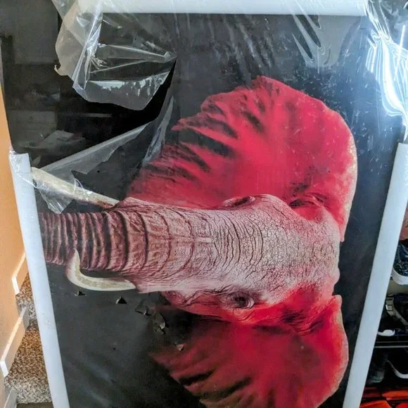 Tempered Glass Pictures